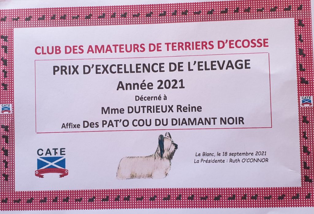 Les Pat O' Cou Du Diamant Noir - Prix d excellence 2021