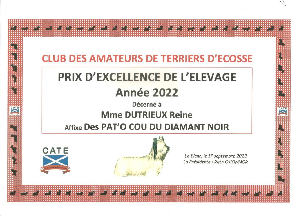 Les Pat O' Cou Du Diamant Noir - prix excellence 2022