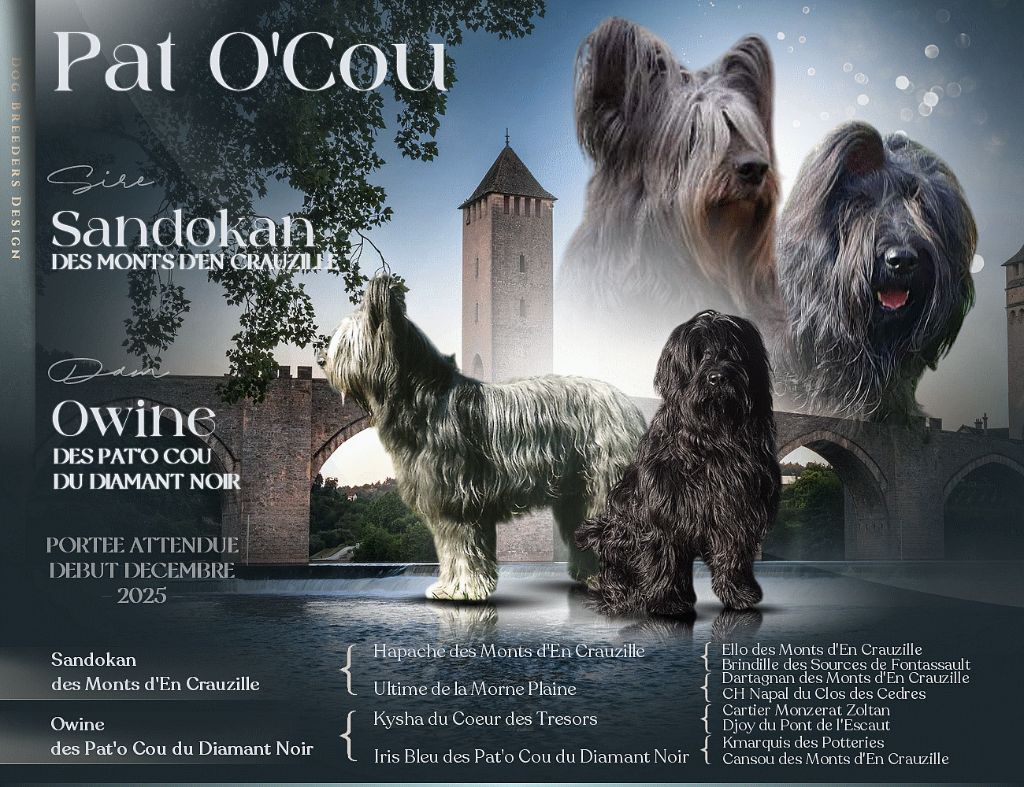 2025   Owine  et sandokan 